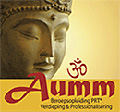 Aumm Instituut