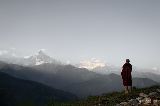 Nieuwe Website Screenshot